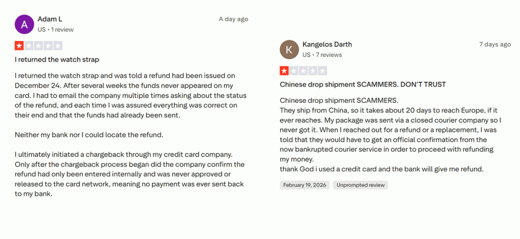 Helvetus TrustPilot Reviews